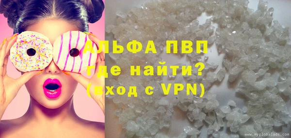 прущие грибы Абинск