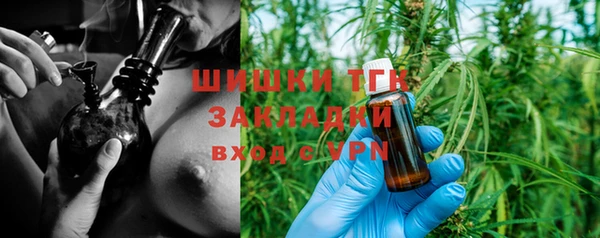 прущие грибы Абинск