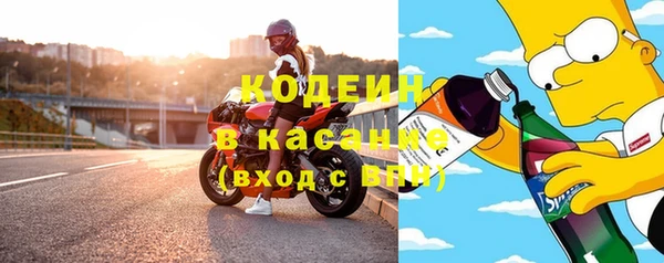 прущие грибы Абинск