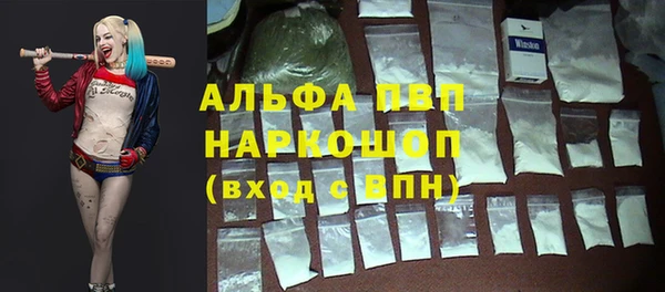 прущие грибы Абинск